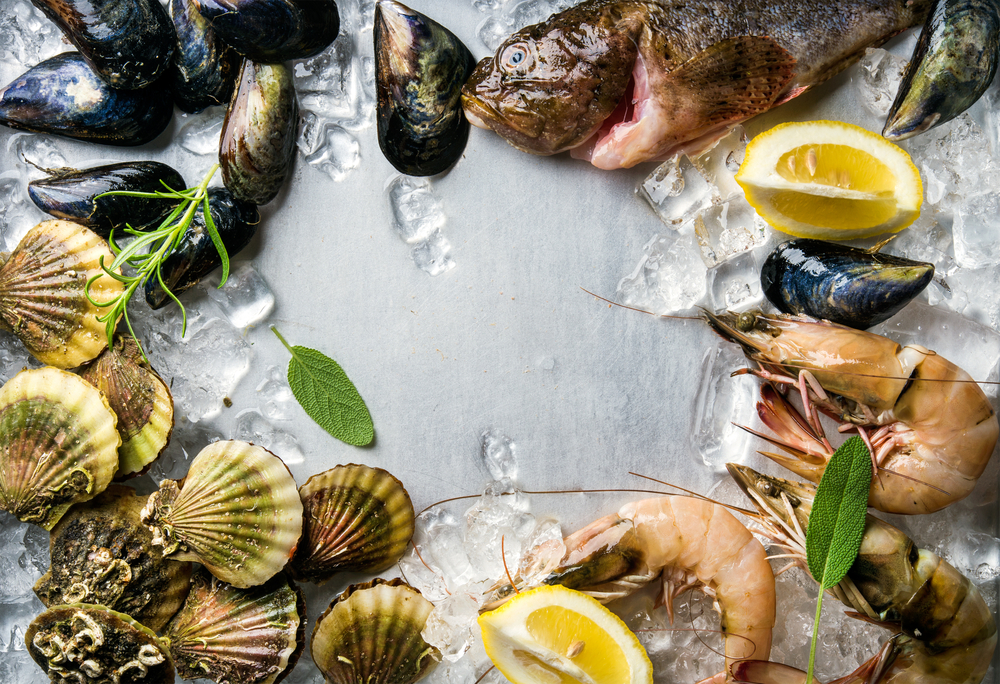 Fresh Seafood Recipes in Boston