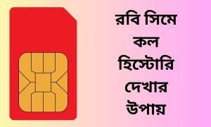 রবি সিমে কল হিস্টোরি দেখার উপায়